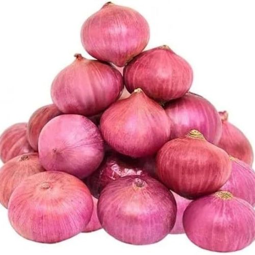 A Grade Fresh Red Onion