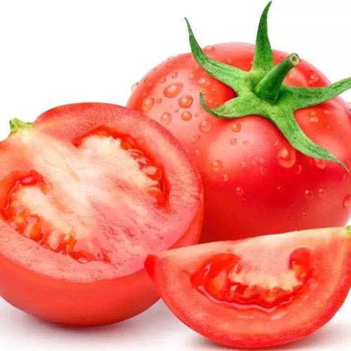 A Grade Fresh Red Tomato