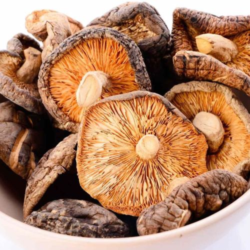 Dehydrated Brown Mushroom