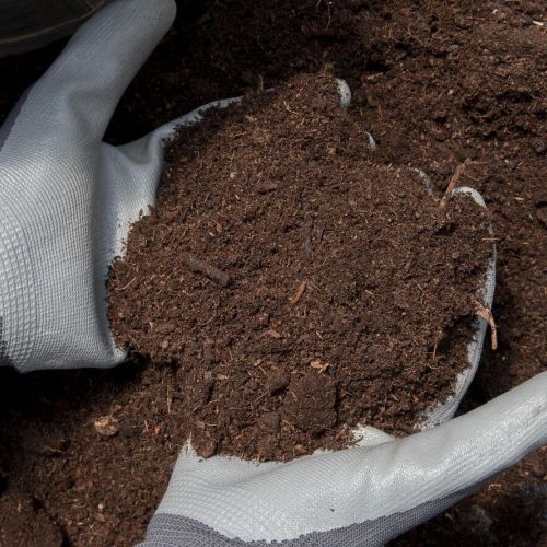 Organic Cow Dung Manure