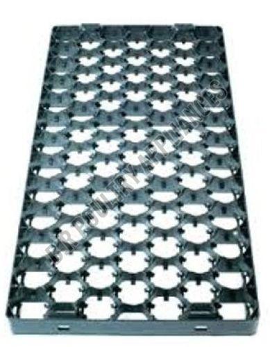 Setter Tray for Egg Incubator