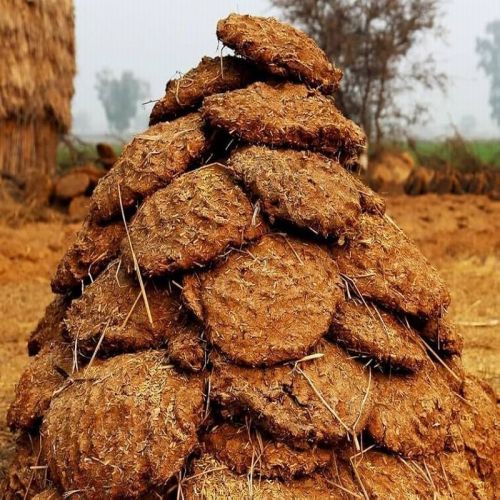 Round Cow Dung Cake