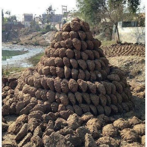 Organic Cow Dung Cake
