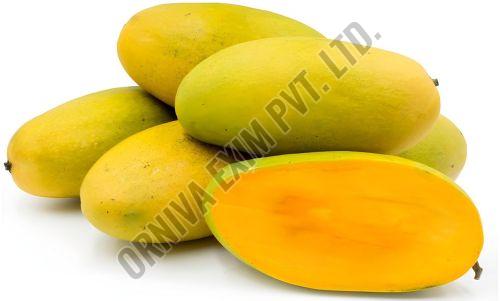 A Grade Dasheri Mango