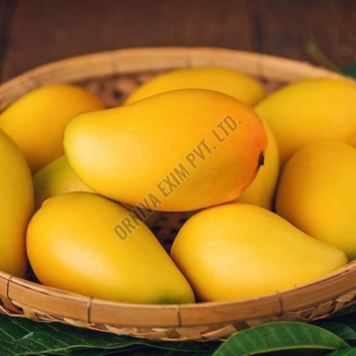 A Grade Natural Alphonso Mango