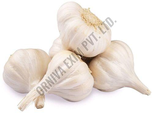 A Grade White Fresh Garlic