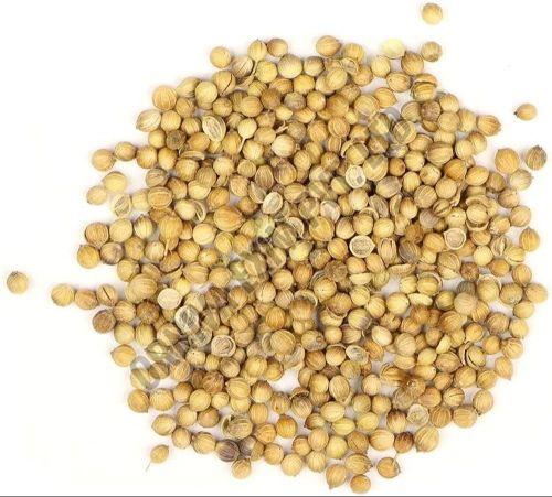 Crushed Coriander Seeds
