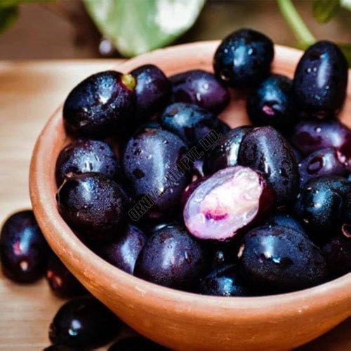 Fresh Black Jamun