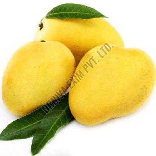 Fresh Chaunsa Mango
