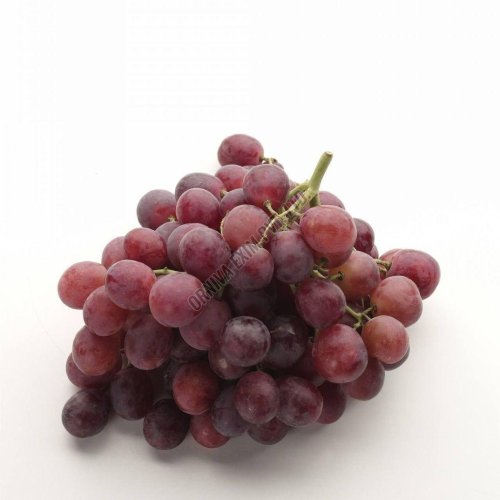 Fresh Dark Red Flame Grapes