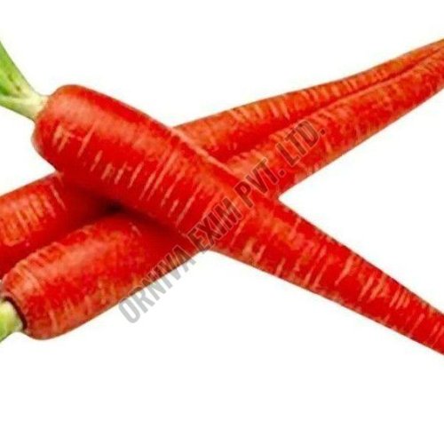 Fresh Red Carrot