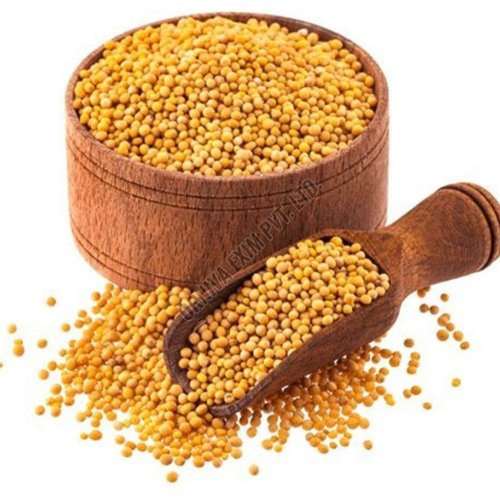 Yellow Mustard Seed