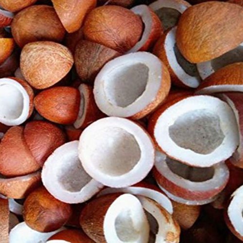 Coconut Copra