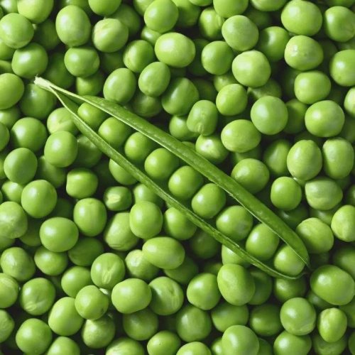 Fresh Green Peas