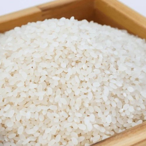 Non Basmati Rice
