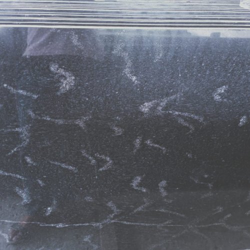 Polished Fish Black Granite Slab