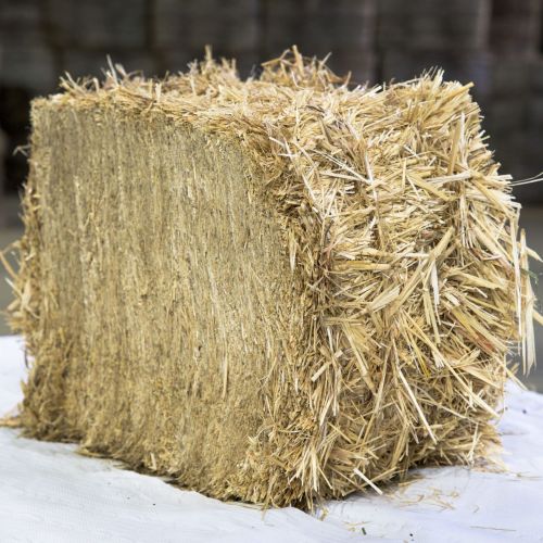 100kg Wheat Straw Bale