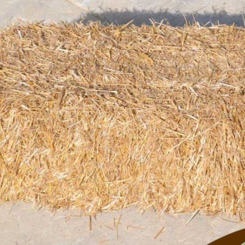 150kg Wheat Straw Bale