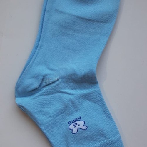 Blue Ankle Length Ladies Socks
