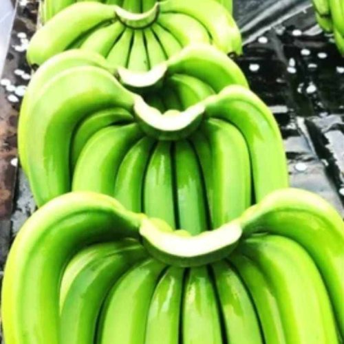 A Grade Fresh Green Banana