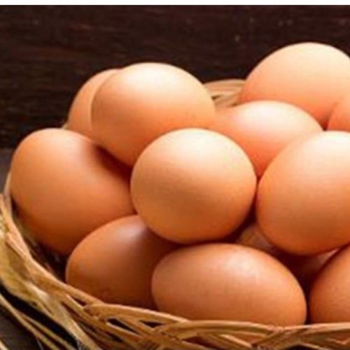 Fresh Brown Egg