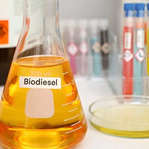 99% Biodiesel Oil