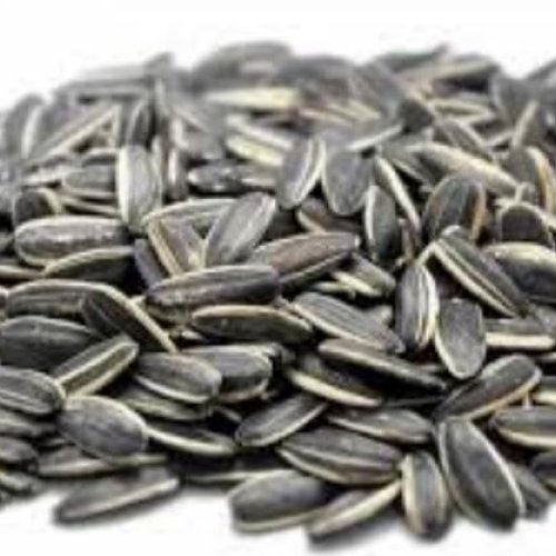 Edible Sunflower Seeds