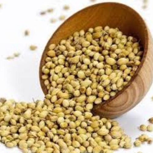 Natural Coriander Seeds