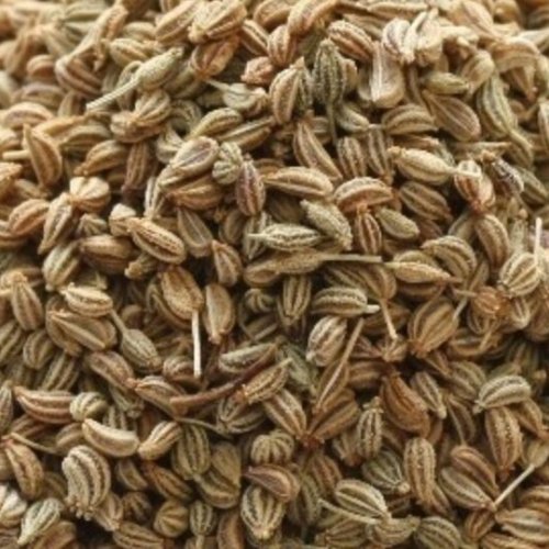 Premium Ajwain Seeds