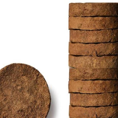 Cow Dung Cake