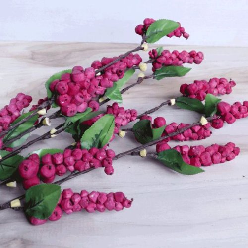 Berry Sola Wood Leaf Flower Stick