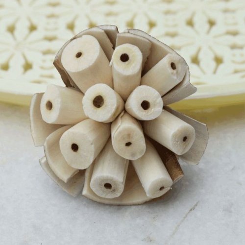 Burl Sola Wood Flower