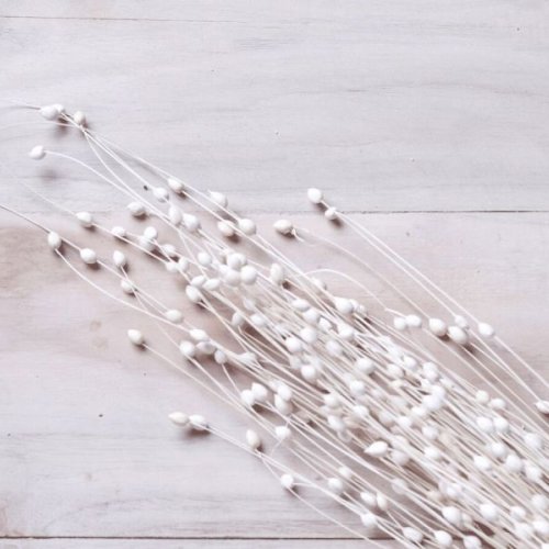 Coco Pearl Filler Sola Stick Coco Pearl Filler Sola Stick