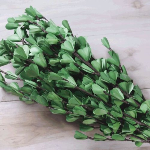 Green Lily Sola Wood Flower Stick
