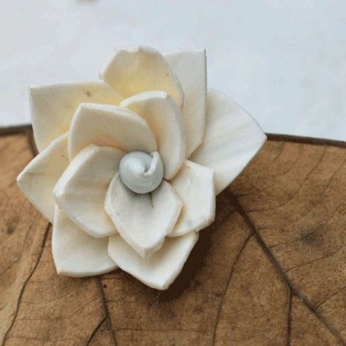 Kalina Sola Wood Flower