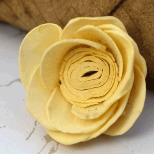 Lara Sola Wood Flower