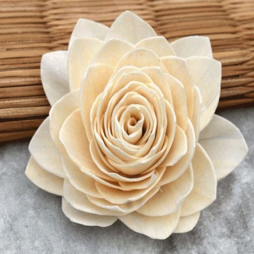 Love Bird Sola Wood Flower