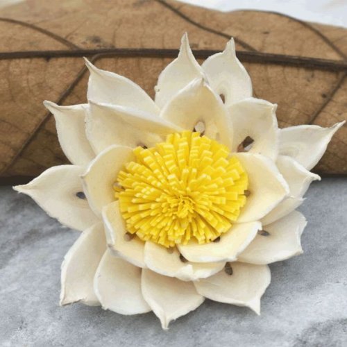 Marguerite Sola Wood Flower Handmade Bloom