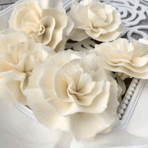Moon Light Sola Wood Flower
