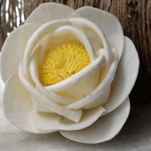 Mustard Rose Sola Wood Flower