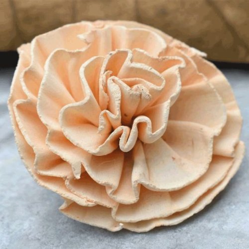 New Dawn Sola Wood Flower