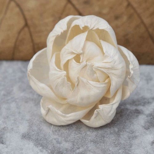 Peony Sola Wood Flower