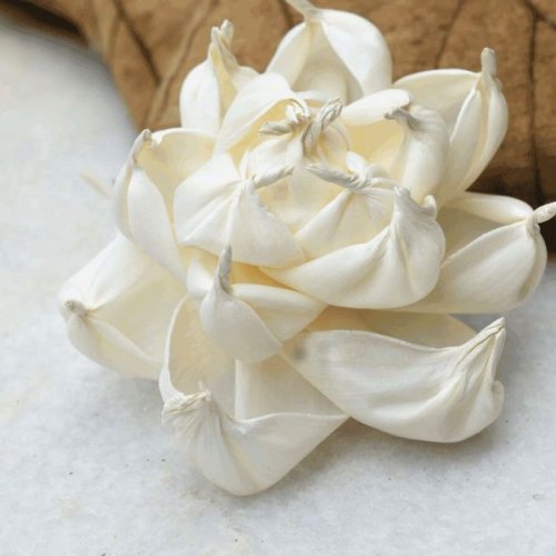 Posie Sola Wood Charming Flower