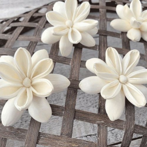 Riya Sola Wood Flower Riya Sola Wood Flower