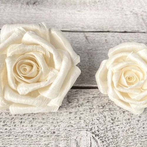 Romance Rose Sola Wood Flower
