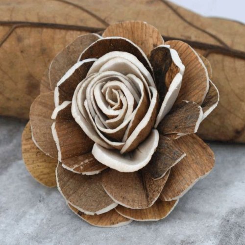 Rosamia Sola Wood Flower
