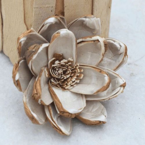 Seena Sola Wood Flower