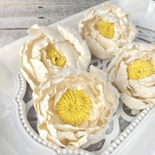 Silk Wind Sola Wood Flower
