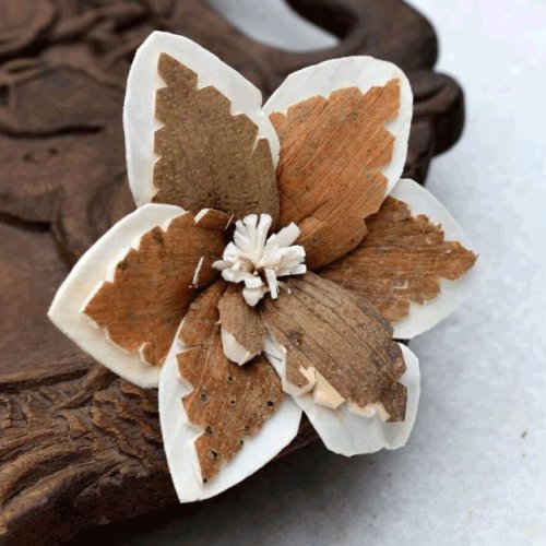 Sky Star Sola Wood Flower