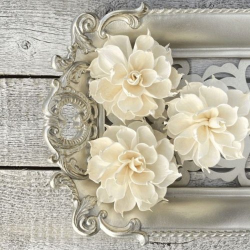 Snow White Sola Wood Flower
